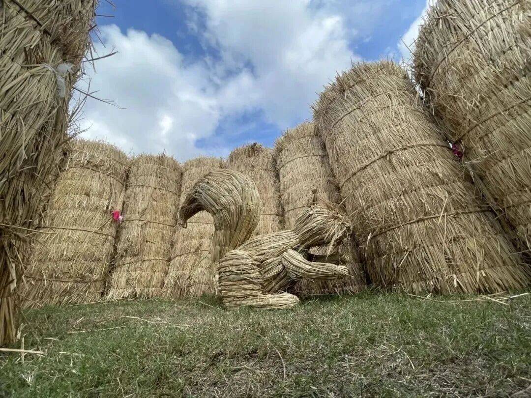 有奖、徐霞客NPC…秋游佘山新玩法还有超值亲子卡首发PG电子麻将胡了2GO享松江 移动美术馆、寻“雅”(图1)